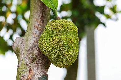 《七日杀》正式版最新宣传片公开 6月正式推出